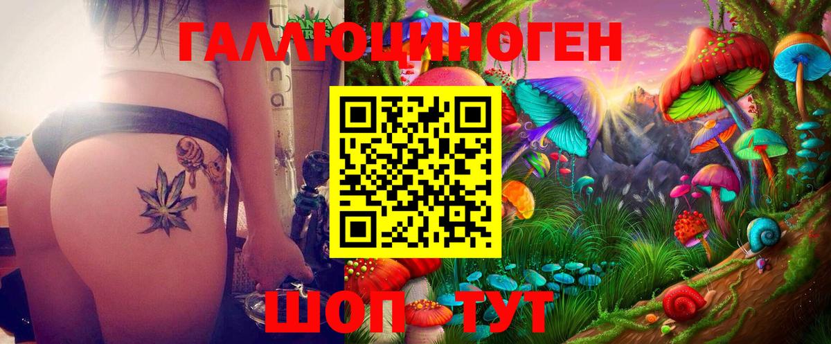 Псилоцибиновые грибы MAGIC MUSHROOMS  Вход с VPN  Санкт-Петербург 