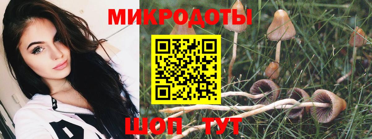 Псилоцибиновые грибы ЛСД Санкт-Петербург